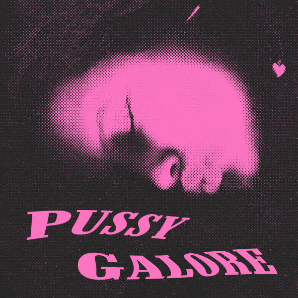 Pussy Galore album cover