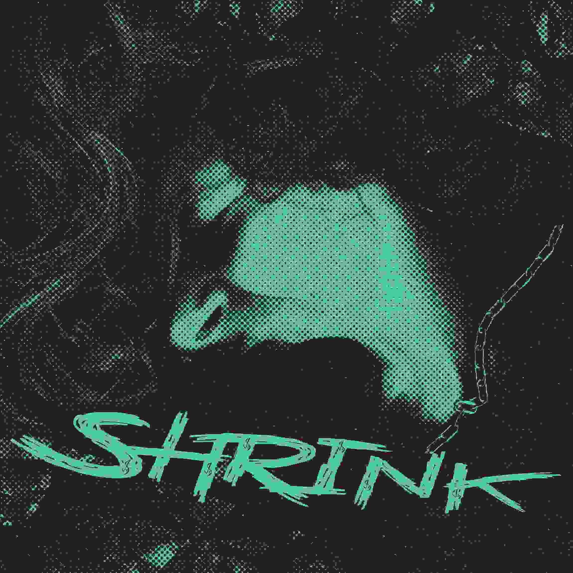 Shrink album cover